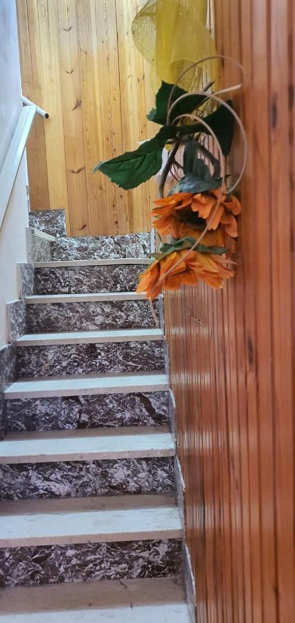 Casa Vacanza A Punta Secca Ngoại thất bức ảnh